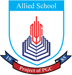 Allied School Anwar Jannat Campus Bhowana logo
