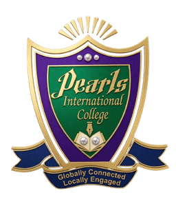 Pearls International College Bhowana logo